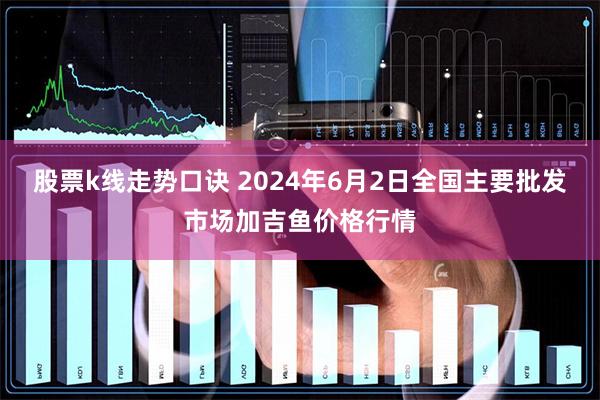 股票k线走势口诀 2024年6月2日全国主要批发市场加吉鱼价格行情