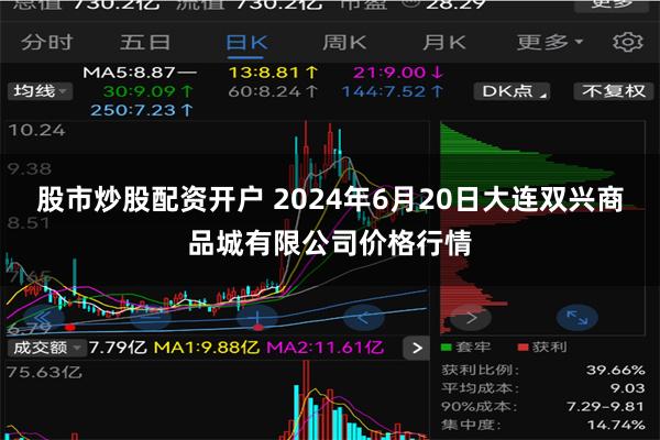 股市炒股配资开户 2024年6月20日大连双兴商品城有限公司价格行情