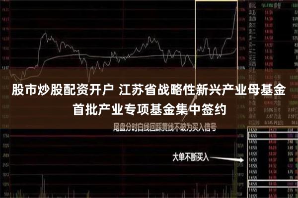 股市炒股配资开户 江苏省战略性新兴产业母基金首批产业专项基金集中签约