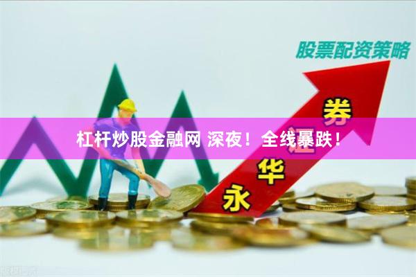 杠杆炒股金融网 深夜！全线暴跌！