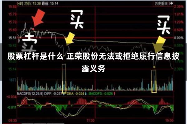 股票杠杆是什么 正荣股份无法或拒绝履行信息披露义务