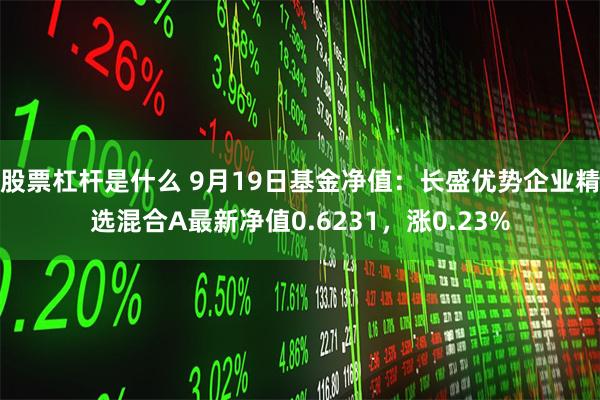 股票杠杆是什么 9月19日基金净值：长盛优势企业精选混合A最新净值0.6231，涨0.23%