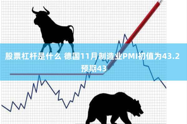 股票杠杆是什么 德国11月制造业PMI初值为43.2 预期4