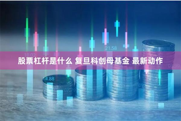 股票杠杆是什么 复旦科创母基金 最新动作